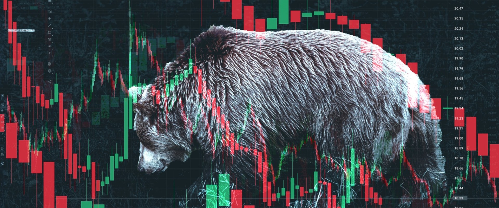 Understanding Market Corrections and Bear Markets