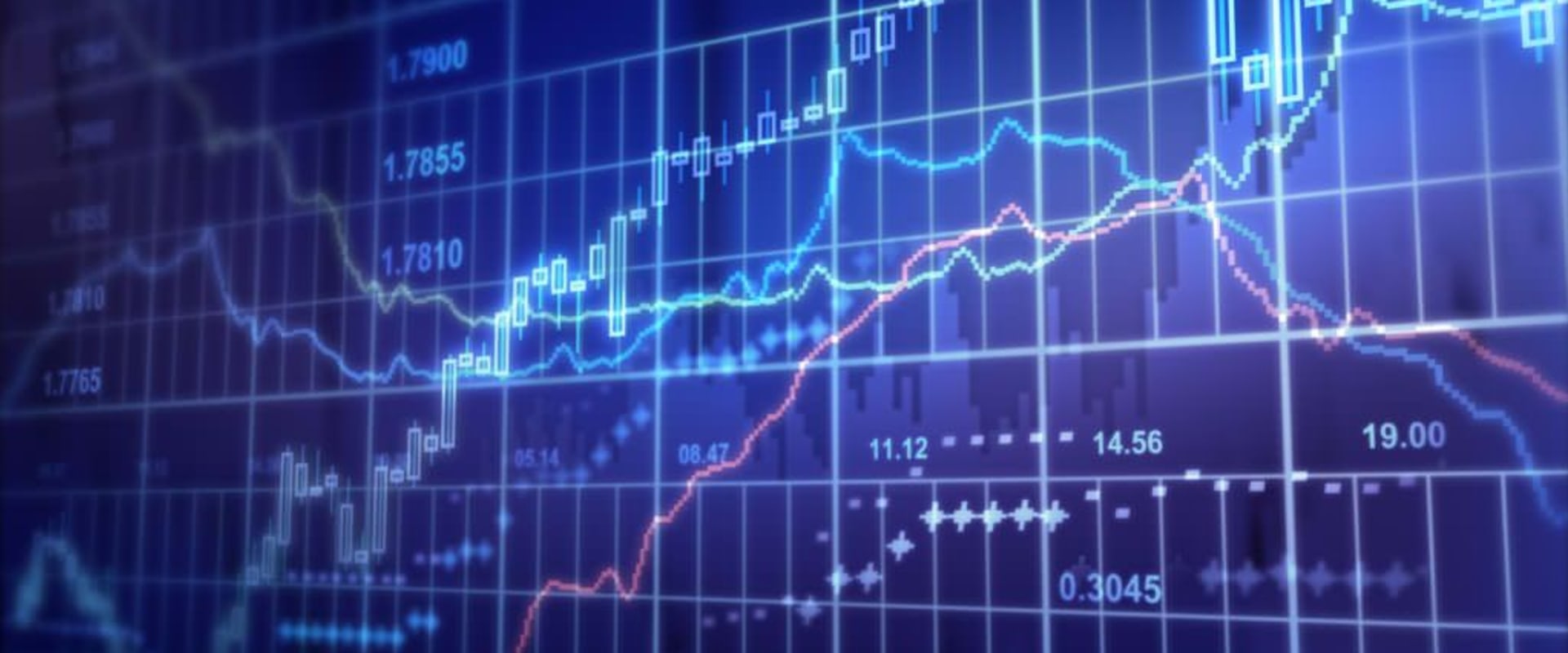 Fundamentals of Long-Term Investing